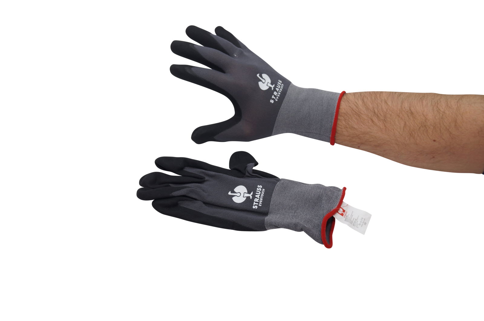 goldene handschuh lied Der Handschuh: 9783498064365: Strunk, Heinz: Books Kona Bikes – The Size:Adult XXL 4142298